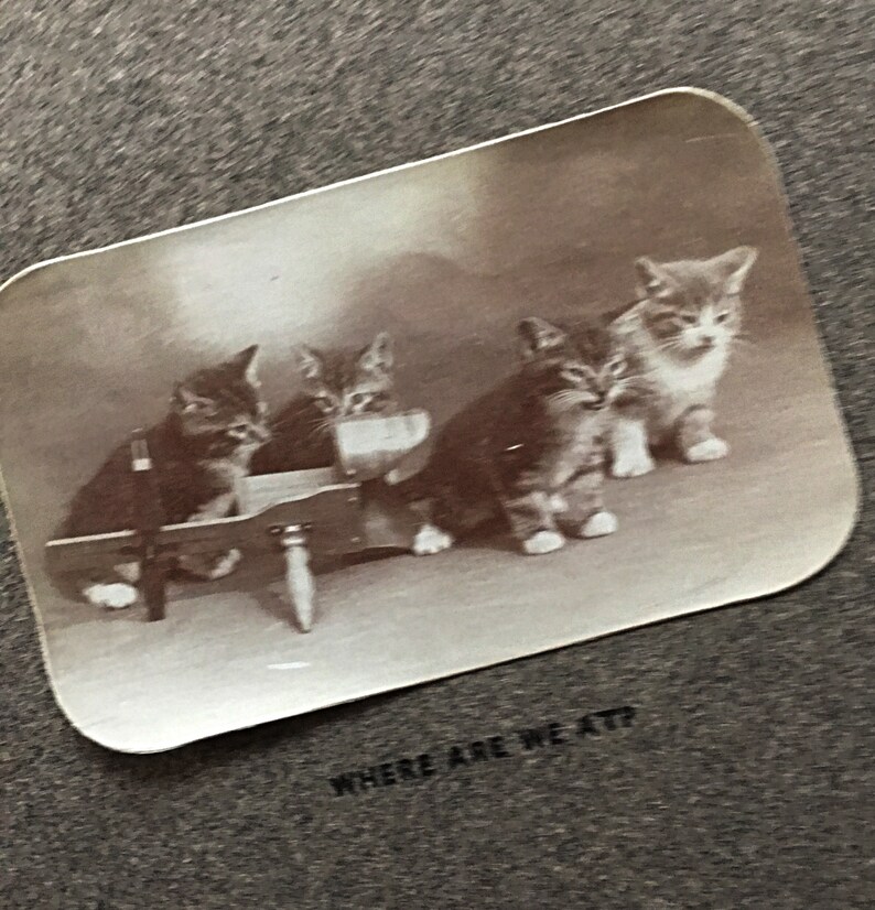 Antique Catskill Mountains Vintage Photograph Souvener a very rare Catskill Collectible Vintage 1900 Catskill CATS Souvenir