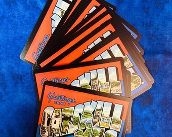 Catskill Mountains Deck of Playing Cards  - Made exclusively for Catskill Collectibles