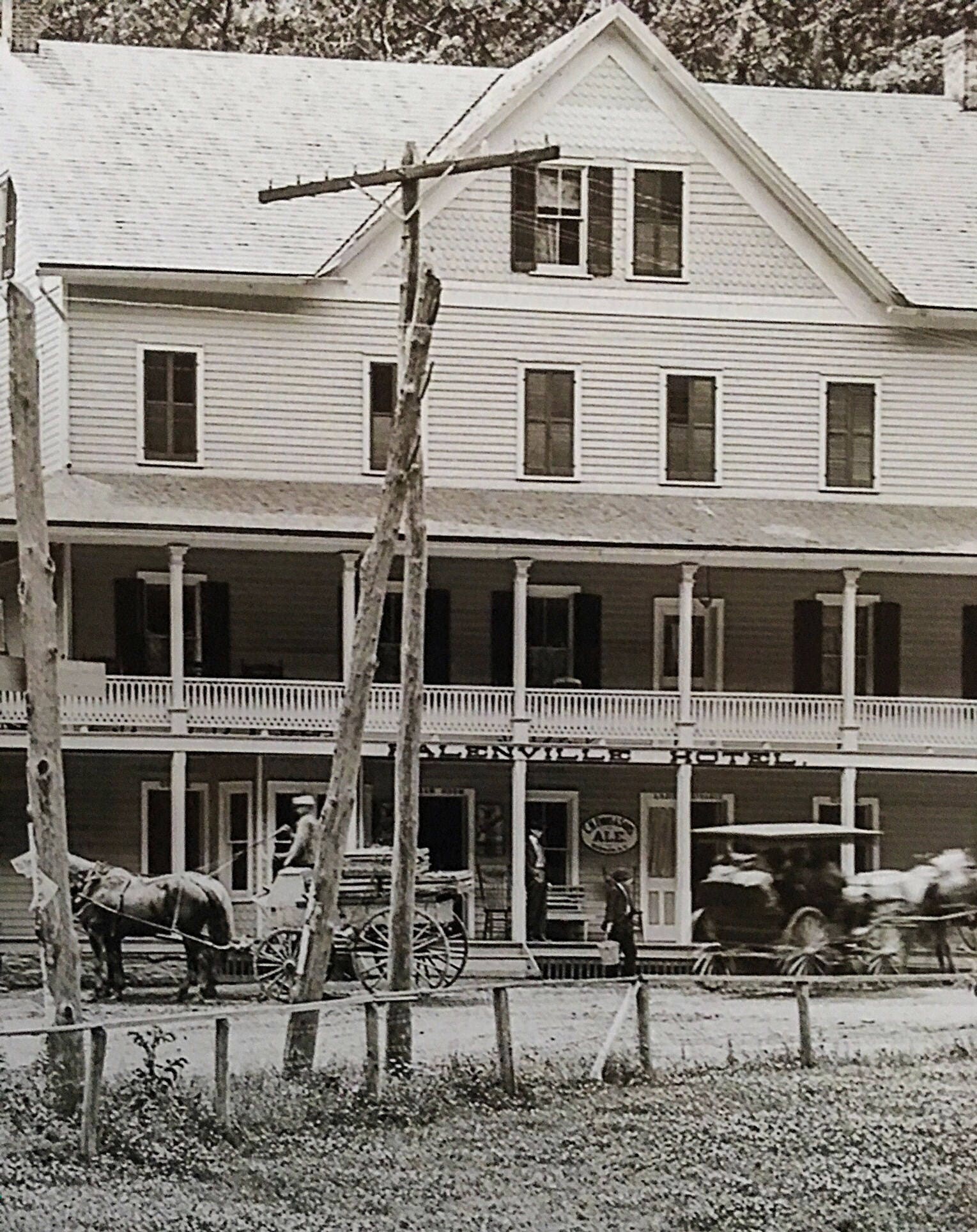 gallery photo