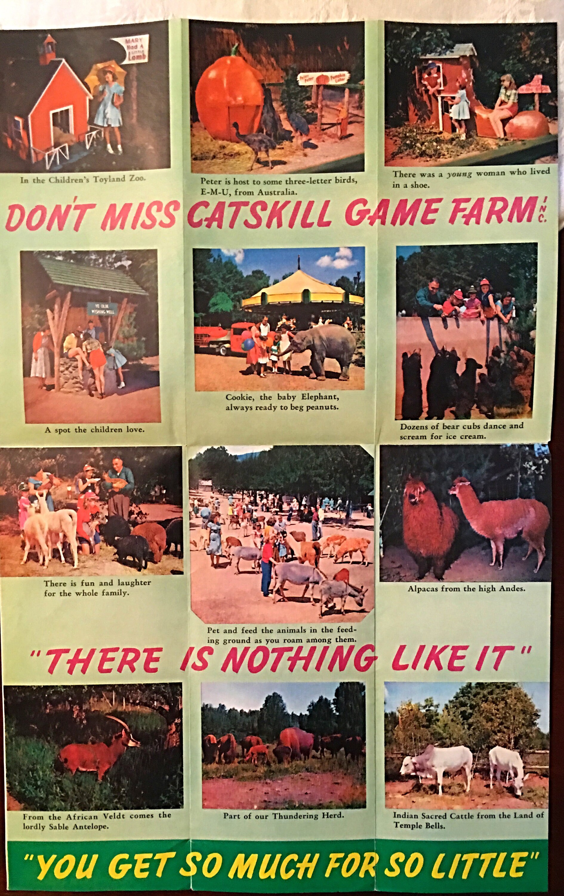 Collectibles Catskill Mountains New York Memorabilia Vintage Catskill