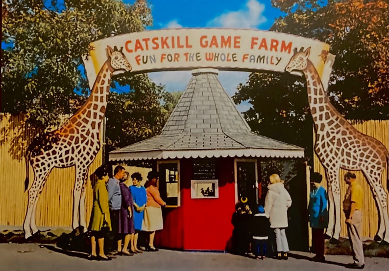 This is an 5 X 7 inches digital reproduction print of a classic vintage Catskill Game Farm postcard. image 1