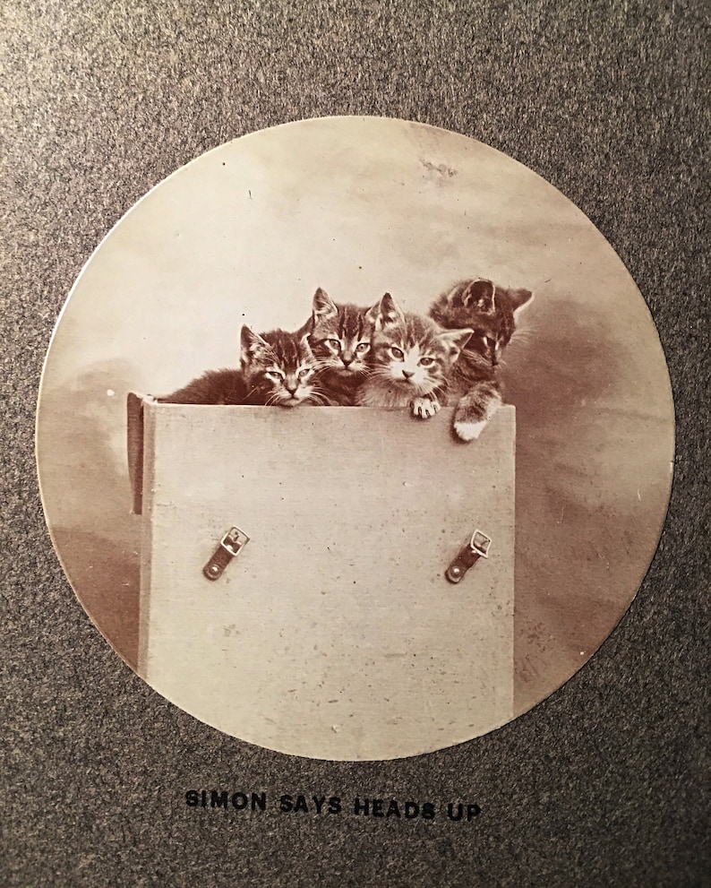 Antique Catskill Mountains Vintage Photograph Souvener a very rare Catskill Collectible Vintage 1900 Catskill CATS Souvenir