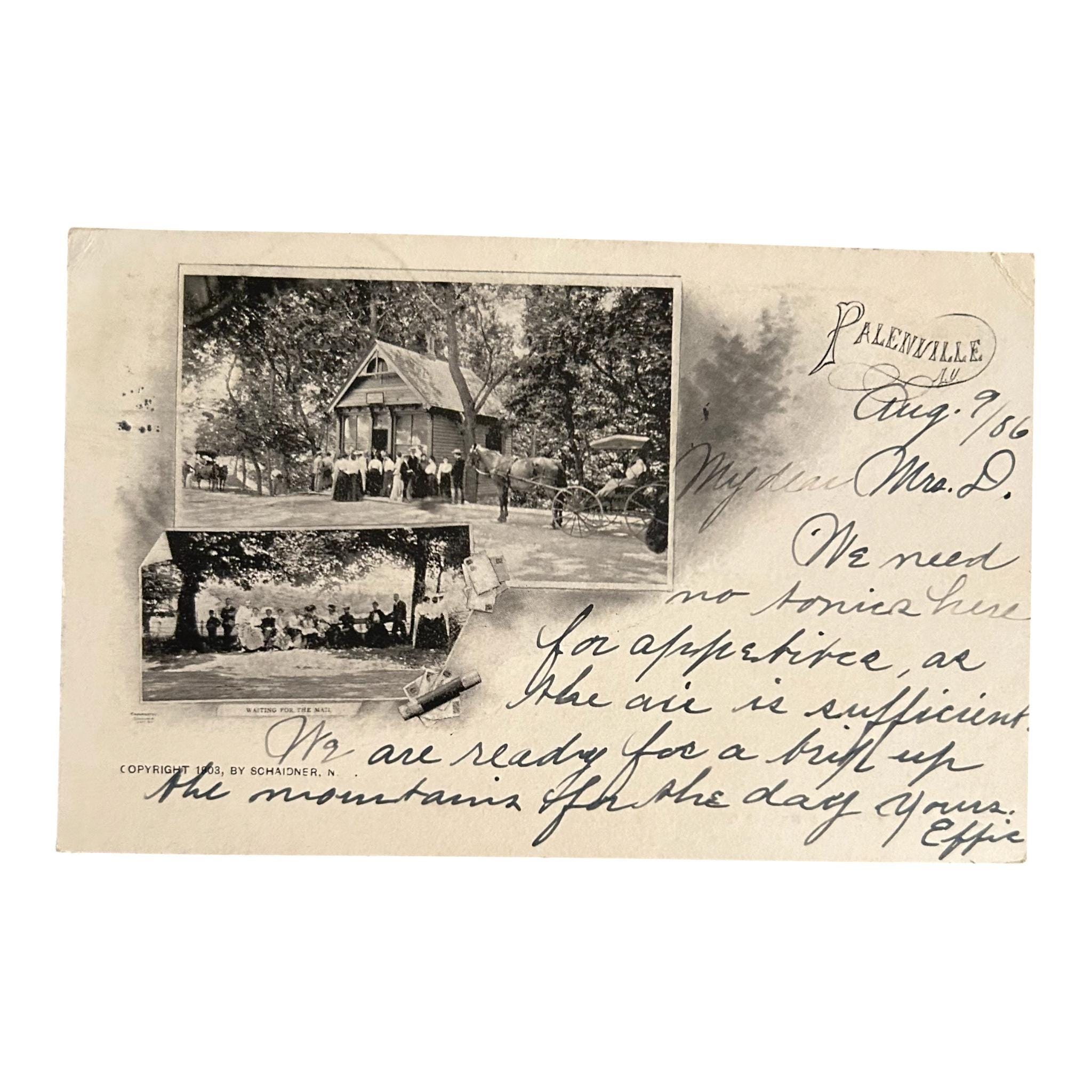 gallery photo