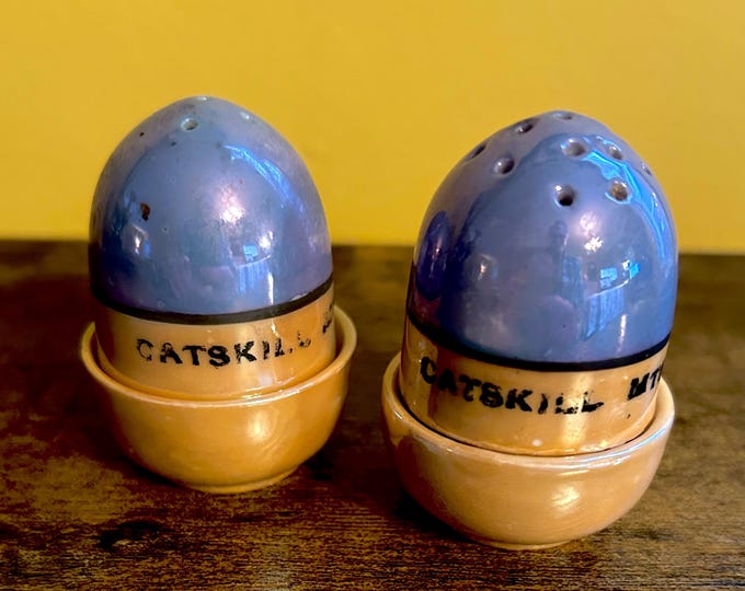 Vintage Catskill Mountains Salt and Pepper Shakers - Imitating an Egg in an Egg cup - Very Unique and Rare Souvenir