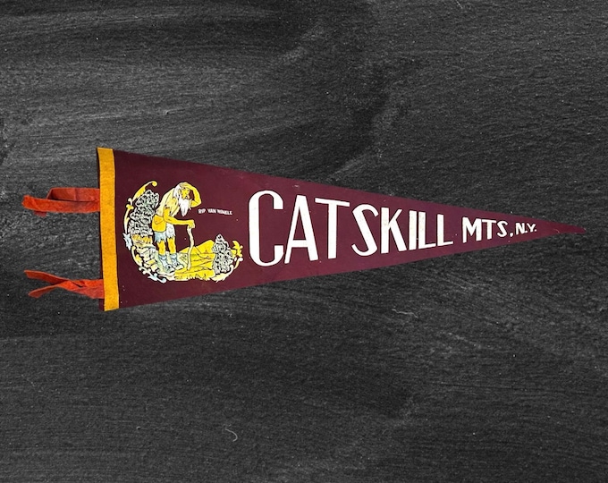 Vintage Felt Pennant - Catskill Mountains Souvenir - Featuring Rip Van Winkle