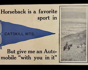 Vintage Catskill Mountains Postcard - RARE - 1913 - Postmarked Delhi New York