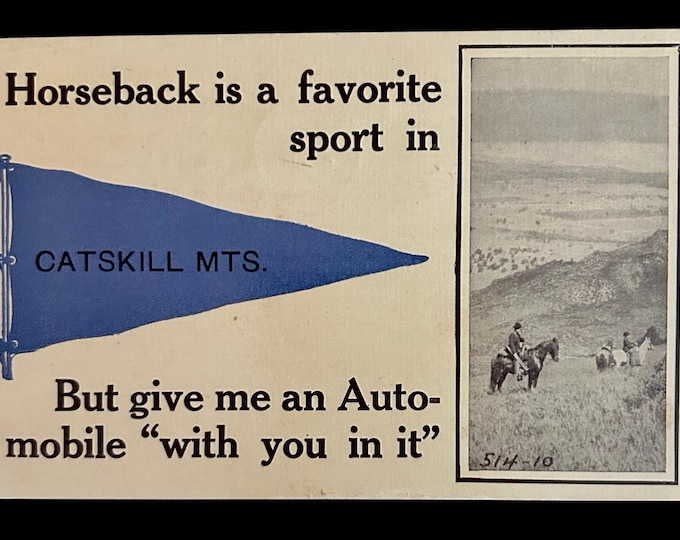 Vintage Catskill Mountains Postcard - RARE - 1913 - Postmarked Delhi New York