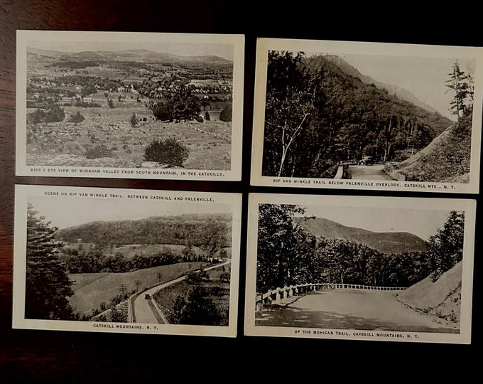 Vintage Souvenir Photos of the Catskill Mountains - 10 Images- Circa 1910