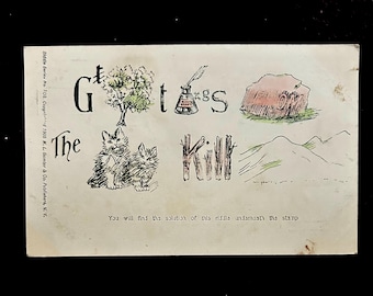 Vintage Catskill Mountains Postcard - 1905 - Riddle Series - RARE