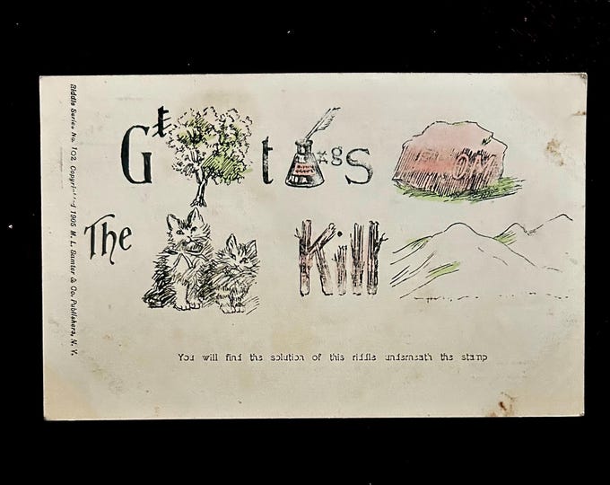 Vintage Catskill Mountains Postcard - 1905 - Riddle Series - RARE