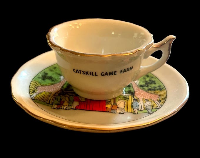Vintage Catskill Game Farm Mini Cup And Saucer Souvenir - Catskill Mountains Memorabilia