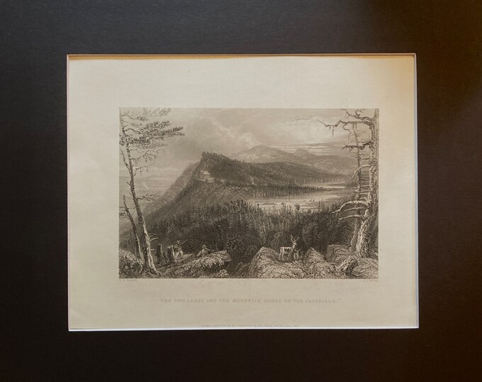 The Two Lakes and the Mountain House of the Catskills - 1840 WH Bartlett & NP Willis Original Antique Print - Matted