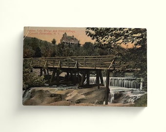 Vintage Catskill Mountains Postcard - Haines Falls Bridge and Riley Cottage - 1908