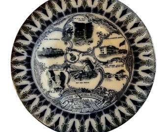 Antique Plate - Souvenir of the Catskill Mountains - Geo Bowman NY - Fenton Antique circa 1909 - Catskill Mountain House, Kaaterskill Falls