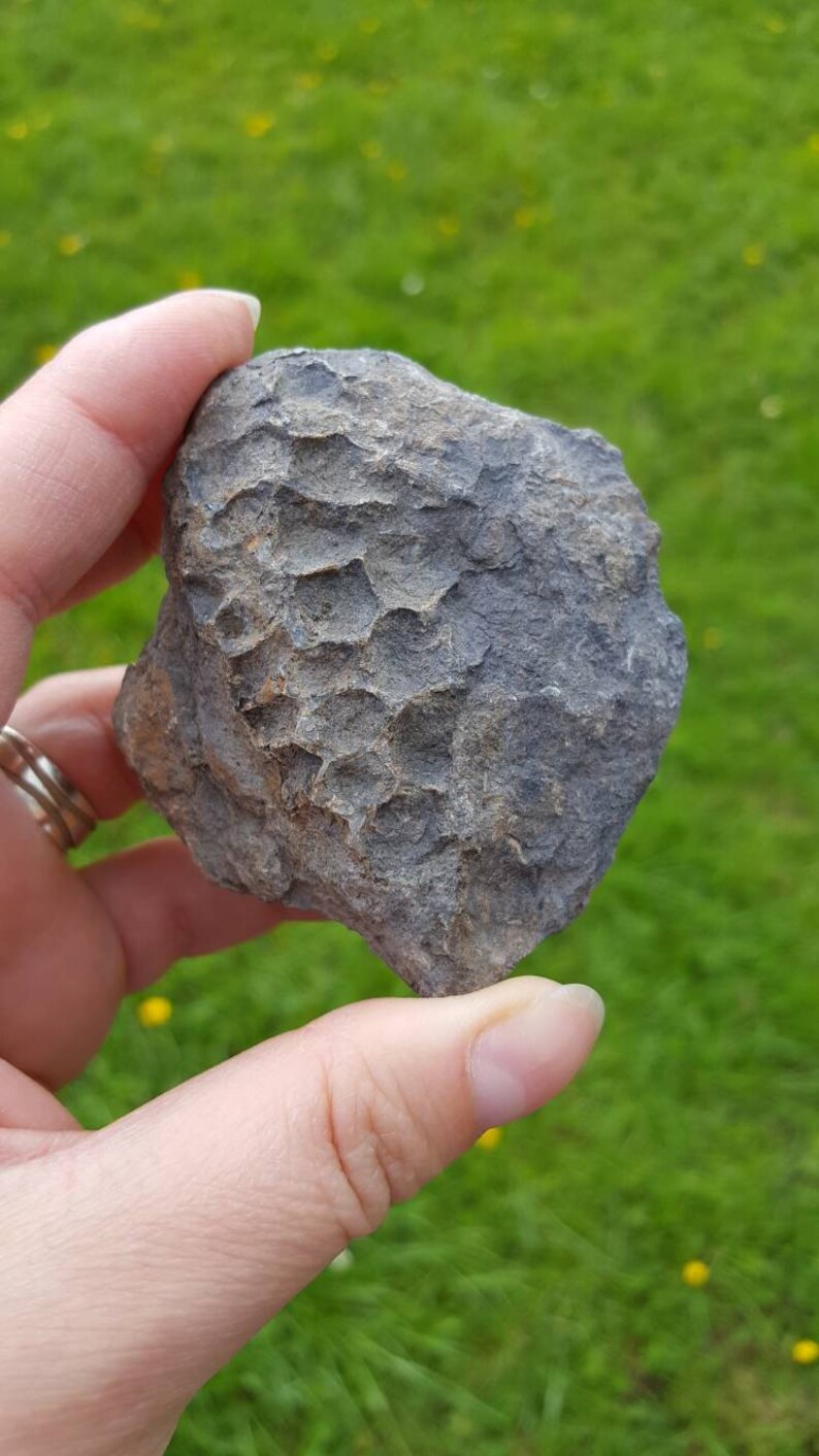 Large fossils collection Irish fossils Gortdrum Mine three Etsy