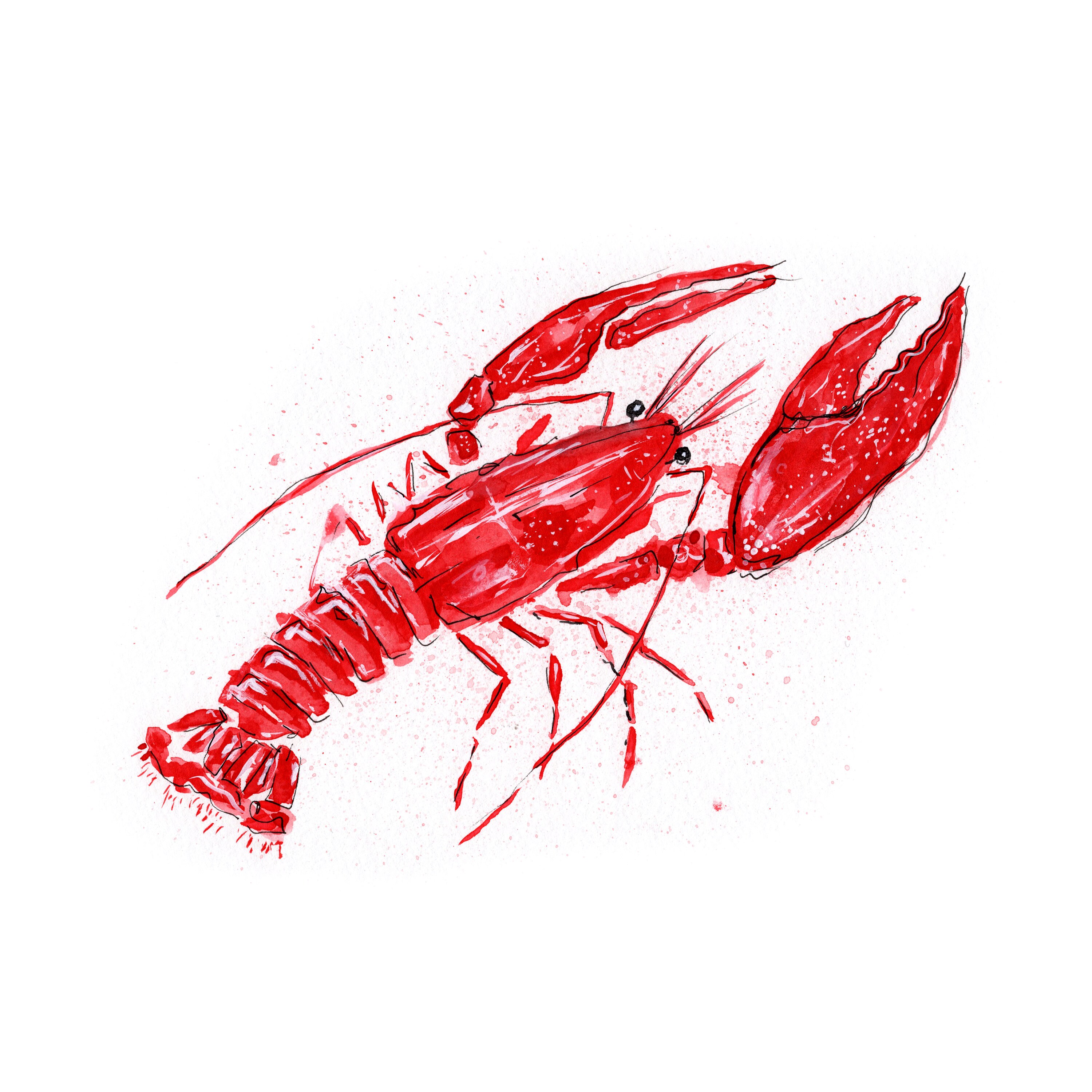 Lobster Watercolor Art Print | Etsy