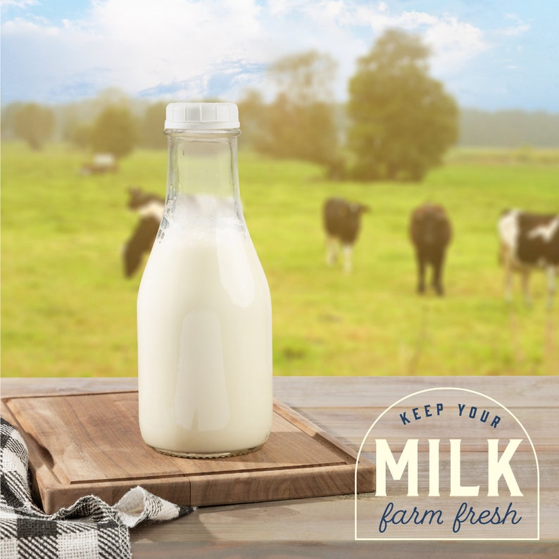Kitchentoolz 32 Oz Round Glass Milk Jugs With Caps Perfect Milk