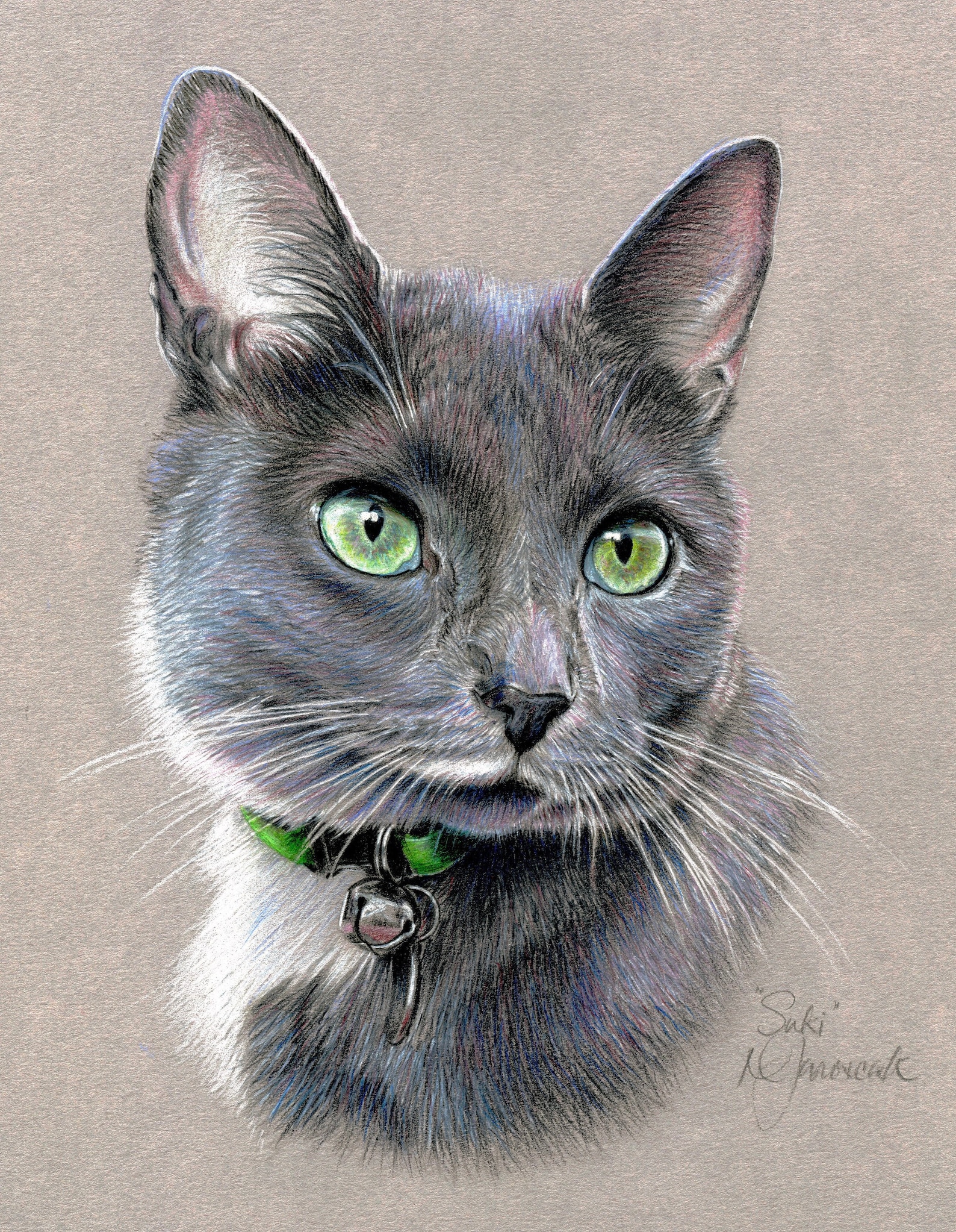 Custom Pet Portraits Colored Pencil Pet Portraits Handdrawn Etsy