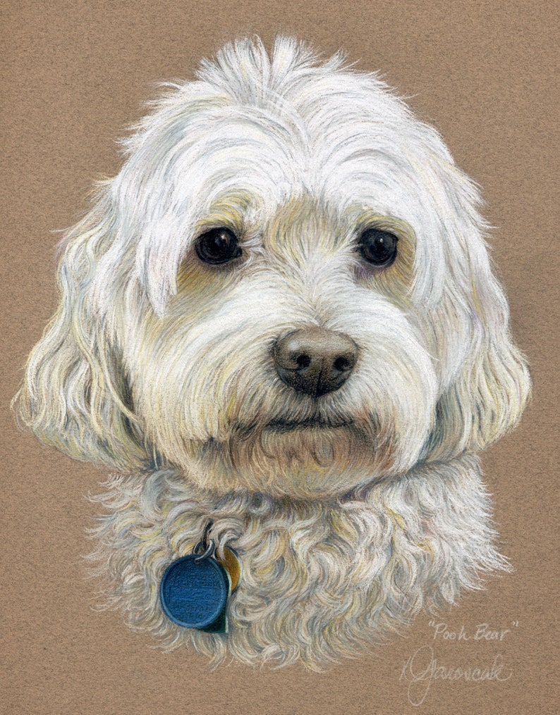 Custom Pet Portraits Colored Pencil Pet Portraits Hand ...