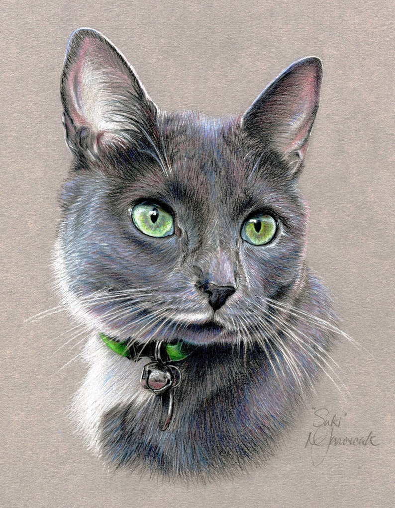 Custom Pet Portraits, Colored Pencil Pet Portraits, Handdrawn Pet