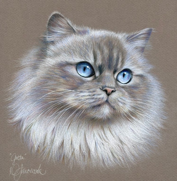 Custom Pet Portraits Colored Pencil Pet Portraits HandDrawn Etsy