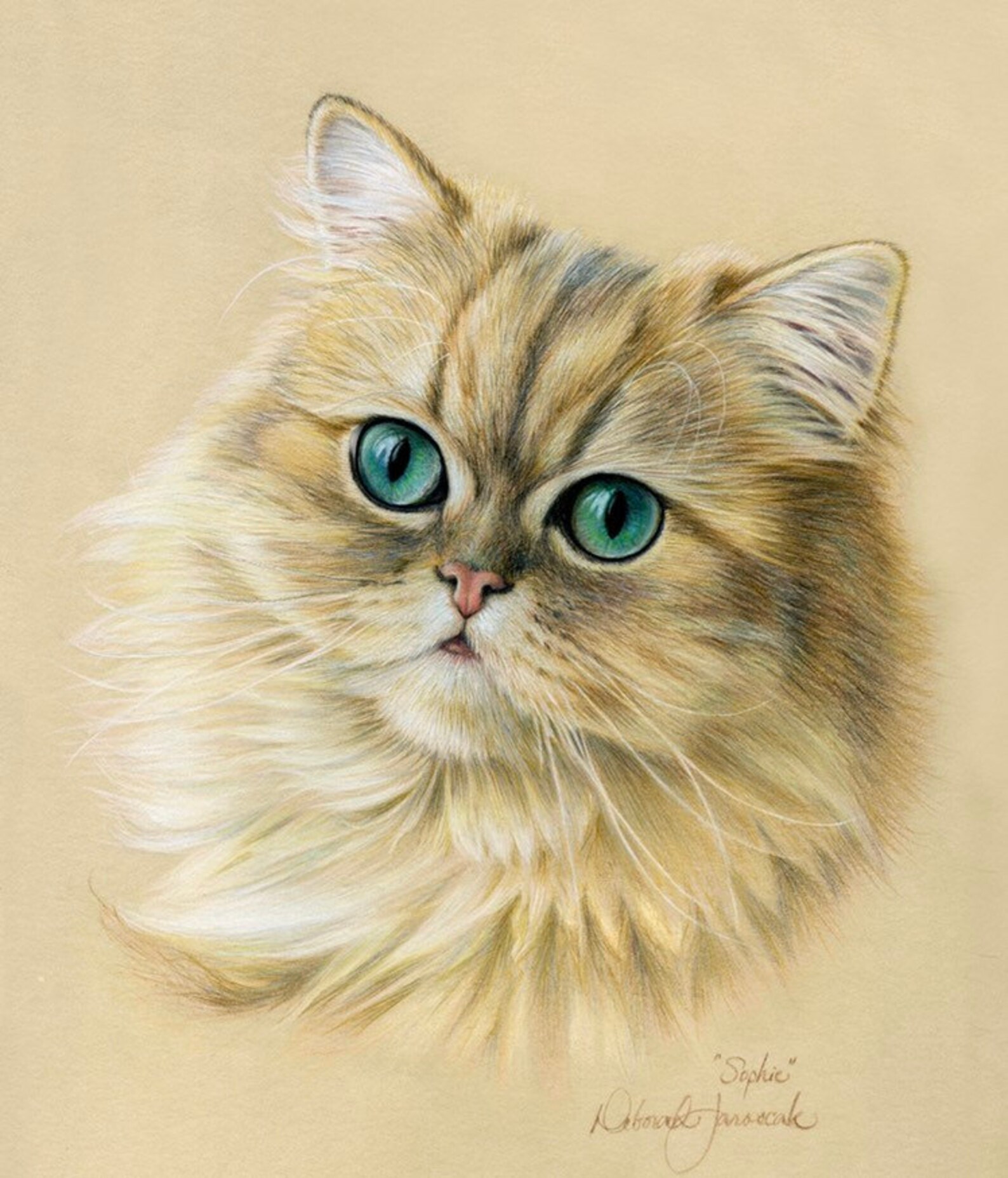 Custom Pet Portraits Colored Pencil Pet Portraits HandDrawn Etsy