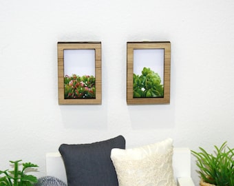 Miniature dollhouse succulent framed artwork pair green