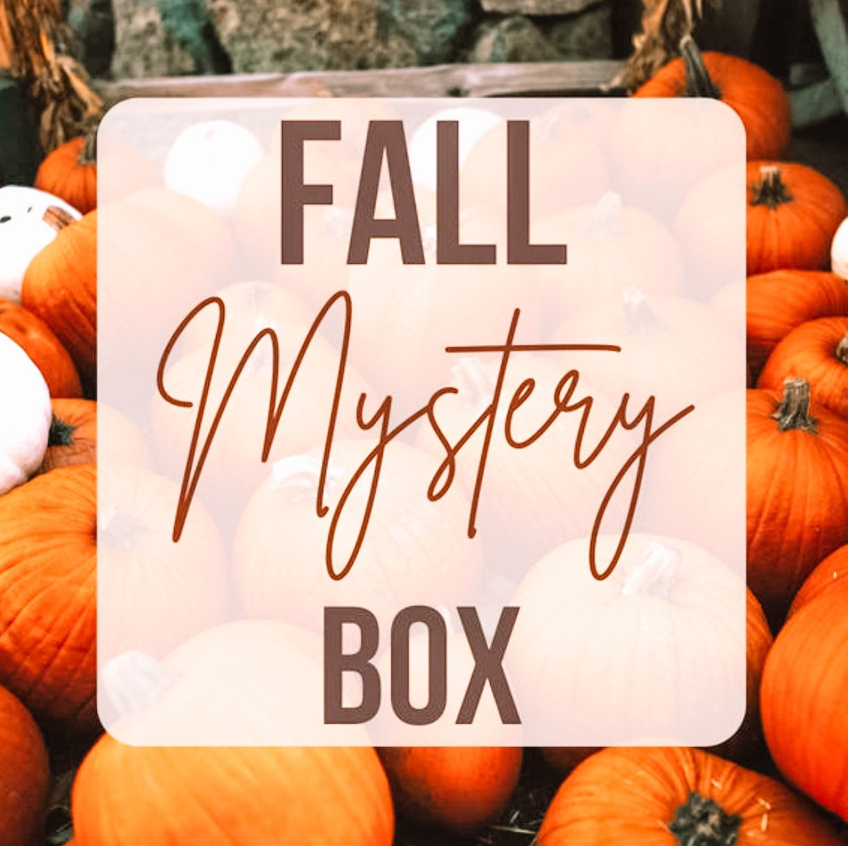 Fall Mystery Box Etsy