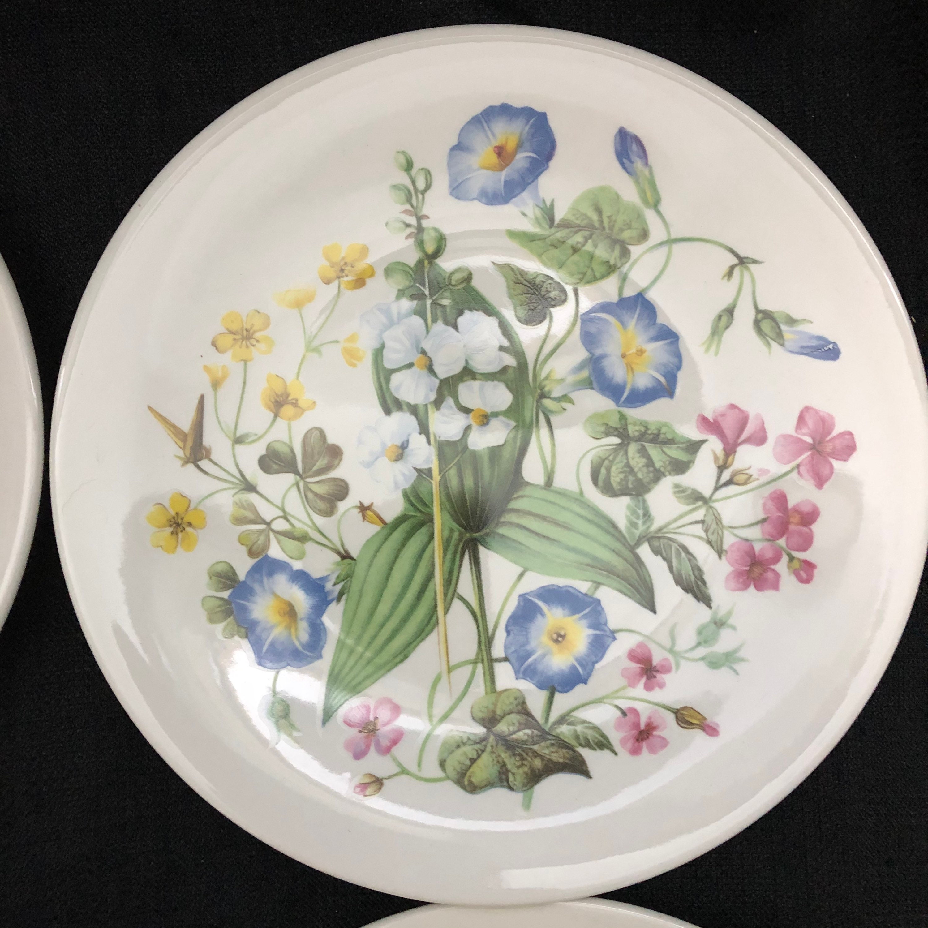 9 Wildflowers of Western United States Plates by Avon Etsy