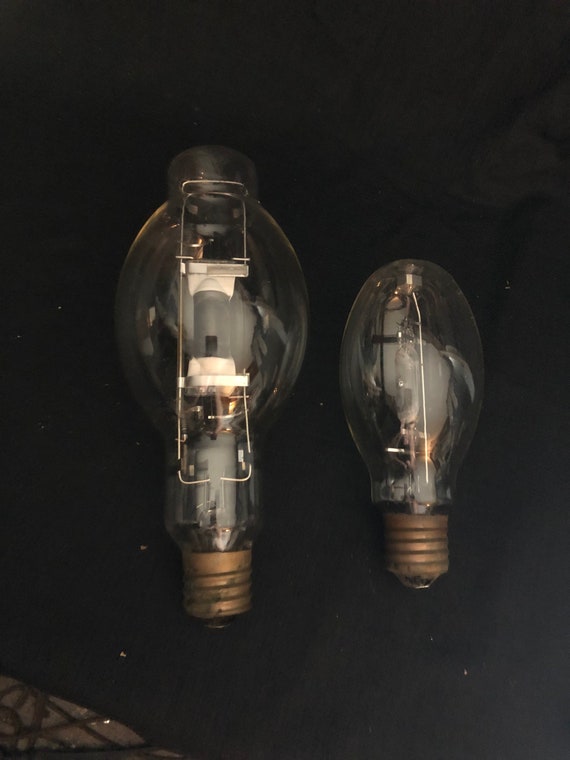 Decorative vintage light on sale bulbs