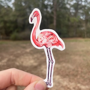 Flamingo Sticker- watercolor