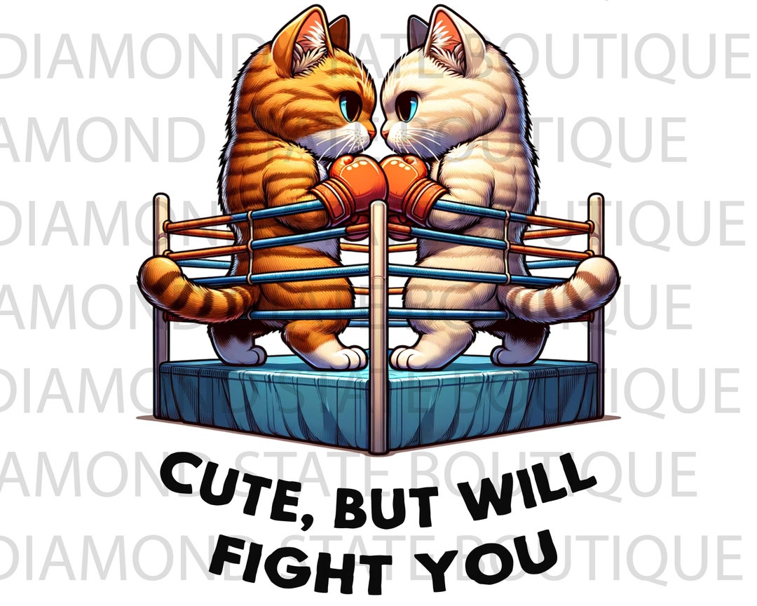 Cats Boxing Cute, but Will Fight You PNG, Sublimation, Funny Images ...
