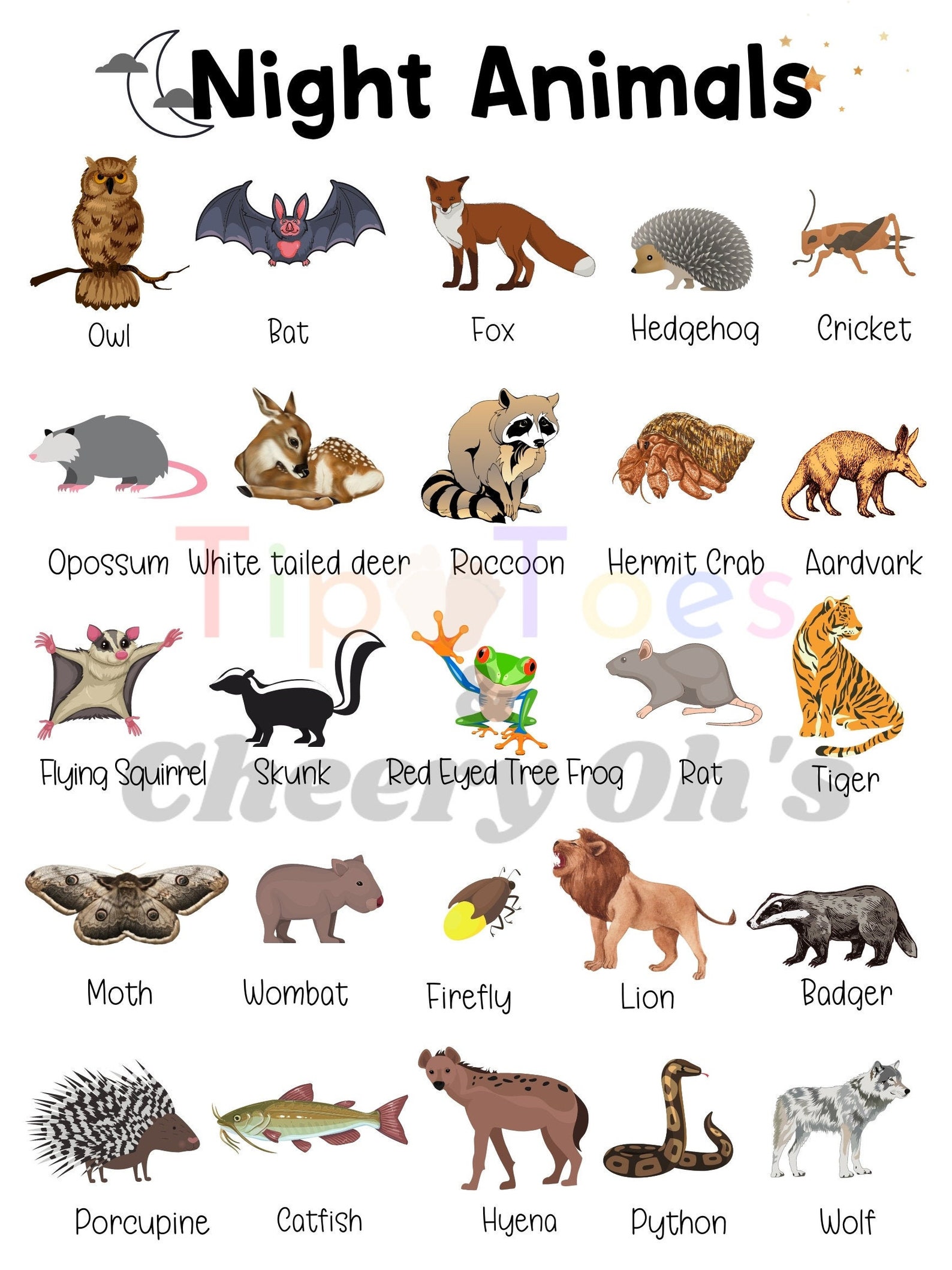 Nocturnal Animal Poster Night Animals Science Homeschool - Etsy