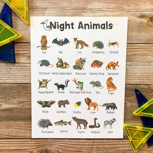 Cartel de animales nocturnos, animales nocturnos, ciencia, educación en casa imprimible, aprendizaje y escuela, criaturas nocturnas, decoración del aula, educativo