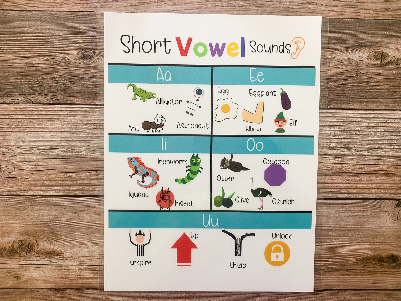 Short Vowel Sounds, Vowel Chart, Educational Poster, Short Vowel Words, Homeschool, Classroom
