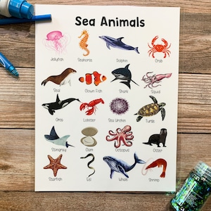 Zeedieren, klasdecor, wetenschap, homeschool afdrukbaar, Montessori, zeedieren, zeedieren print, leren en school