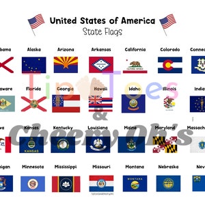 Estados Unidos de América, Banderas Estatales, 50 Estados, Banderas Estatales de EE.UU., Educación en Casa, Geografía, Cartel de Aprendizaje, Estudios Sociales, Imprimible