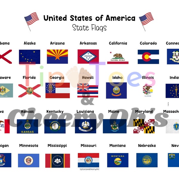 State Flags - Etsy