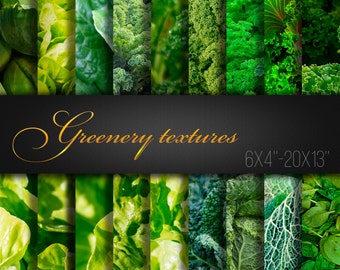Texturas Greenery / Papel Digital Greenery / Greenery Pack / Greenery Scrapbook Paper / Green Paper / Macro / 18 Fotos Reales / 300dpi