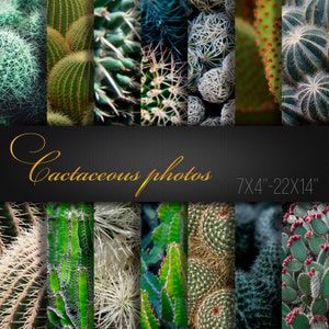 May include: A collage of various cacti, showcasing diverse textures and colors, from vibrant greens to subtle blues. The image features a black banner with the text "Cactaceous photos" in gold script, with dimensions of 7x4"-22x14".