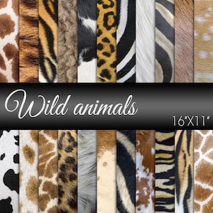 Wild animals skin, Animal skin digital paper, Tiger, Lion, Zebra, Giraffe, Leopard, Cheetah, Scrapbook Paper for art projects and crafts