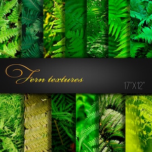 Fern Textures / Fern Digital Paper / Paper For Crafts / Fern Scrapbooking Tools / Fern Scrapbook Paper / Fern Texture / 13 Real Photos