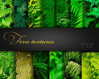 Fern Textures / Fern Digital Paper / Paper For Crafts / Fern Scrapbooking Tools / Fern Scrapbook Paper / Fern Texture / 13 Real Photos