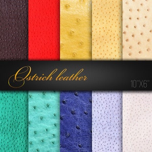 Digital Craft Papers / Natural Ostrich Leather Textures / Pack of 10 JPG / Ostrich Leather Pattern / Digital Scrapbook Paper / Real Photos