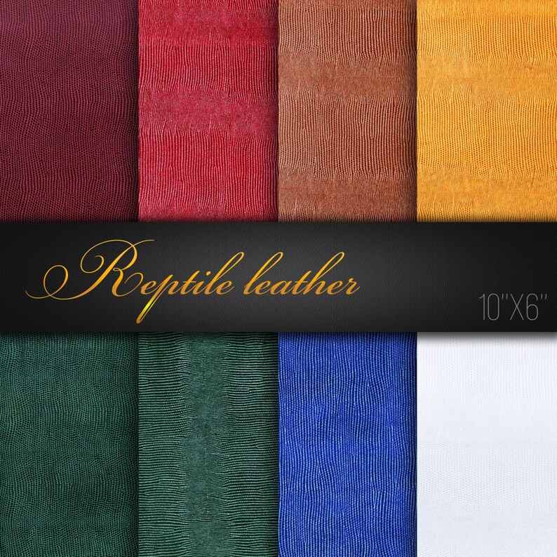 May include: A set of 10 different colored reptile leather samples, each measuring 10 inches by 6 inches. The colors include burgundy, red, brown, yellow, green, dark green, blue, and white.