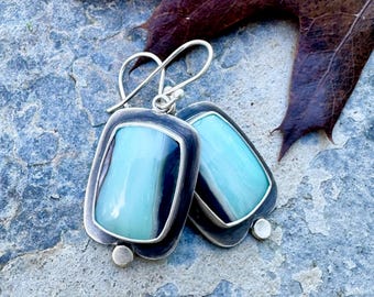 Opalized petrified wood earrings