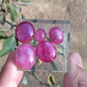 Peut inclure: Collection de six pierres pr&eacute;cieuses rubis polies, de formes ovales et rondes. Les gemmes sont d'une couleur rouge-ros&eacute; profond et vibrant, avec une surface brillante et r&eacute;fl&eacute;chissante. Les pierres sont pr&eacute;sent&eacute;es sur une base rectangulaire transparente.