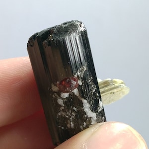 Top Quality beautiful natural 16.2 grams terminated crystal of black tourmaline with spessartine garnet and muscovite
