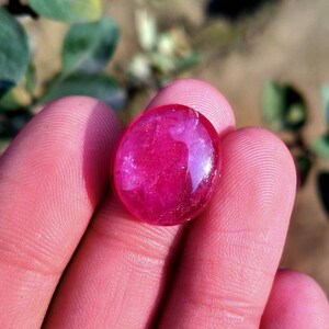 Peut inclure: Une pierre pr&eacute;cieuse de forme ovale, polie, de couleur rouge-rose intense. La surface est lisse et r&eacute;fl&eacute;chissante. La gemme est tenue dans une main, avec un arri&egrave;re-plan flou de feuillage vert.