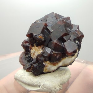 Natural Dark brown Andradite garnet cluster, Well formed crystal, 17 grams